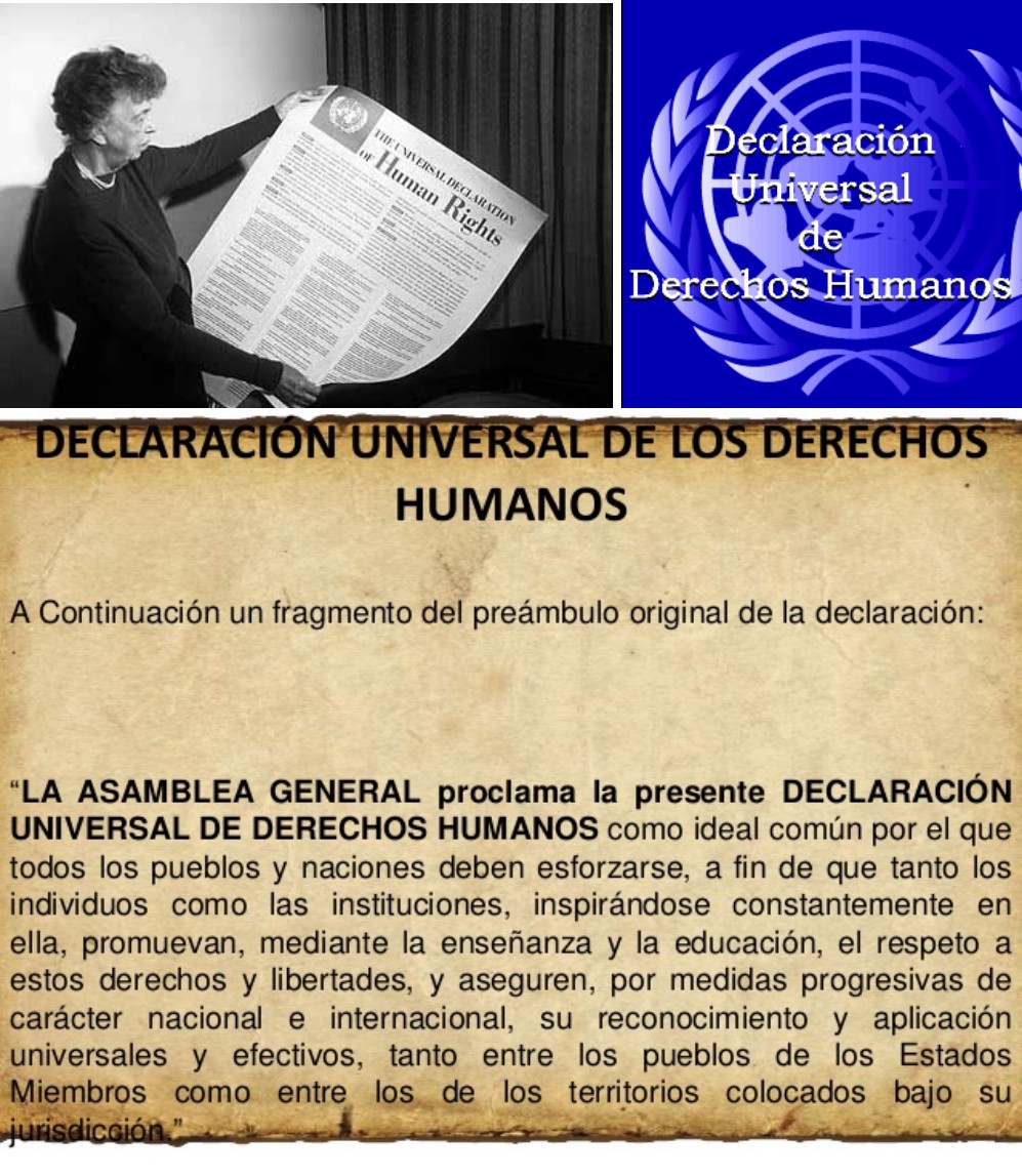 Tareas del colegio: DECLARACION UNIVERSAL DE LOS DERECHOS HUMANOS